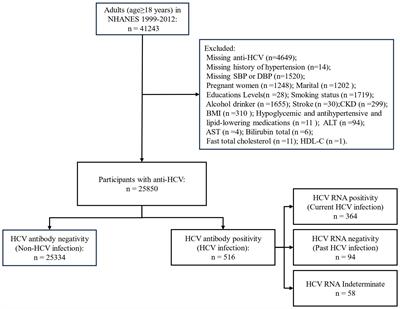 The association between hepatitis C virus infection status and blood pressure in adults in the United States: NHANES 1999–2012